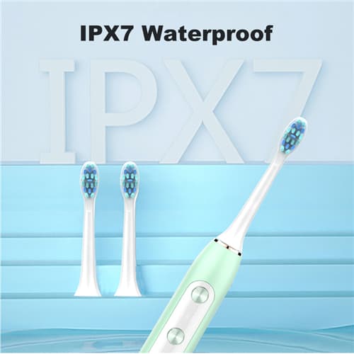 Customized Electric Toothbrushes for Brands