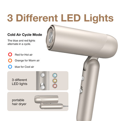 Professional Hair Dryer