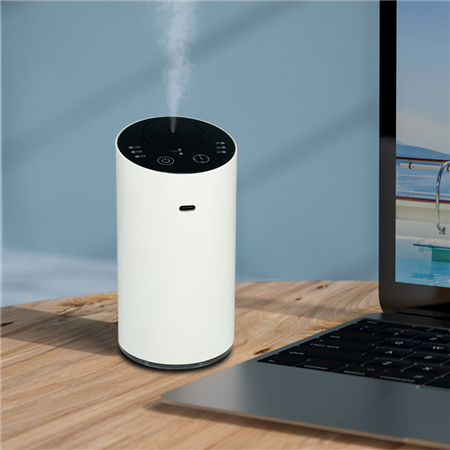 Fragrance Oil Diffuser