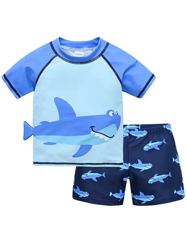 Boys Quick Dry 2 Pieces Swimsuit FG3719