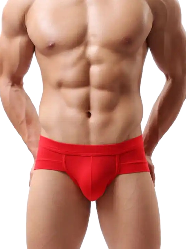 Briefs With Elastic Waistband FJ8700