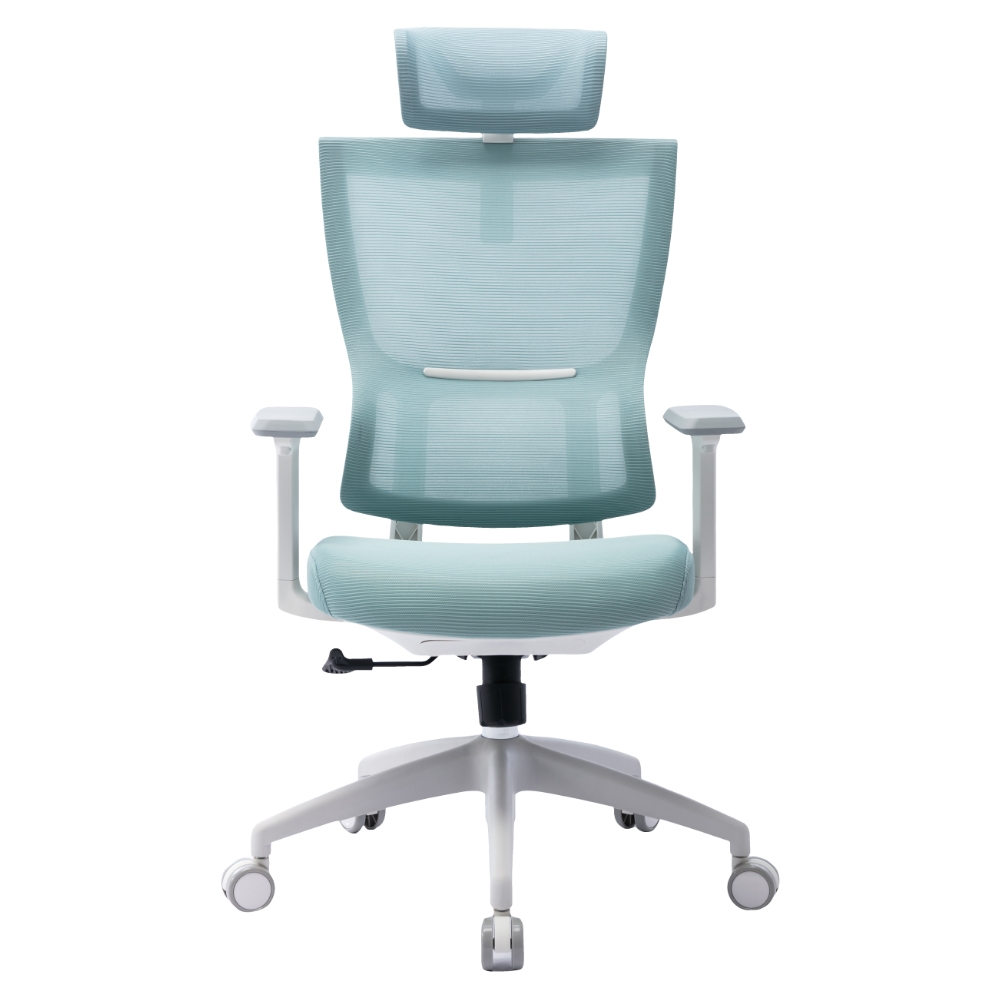 Ergonomics Chair M-6035
