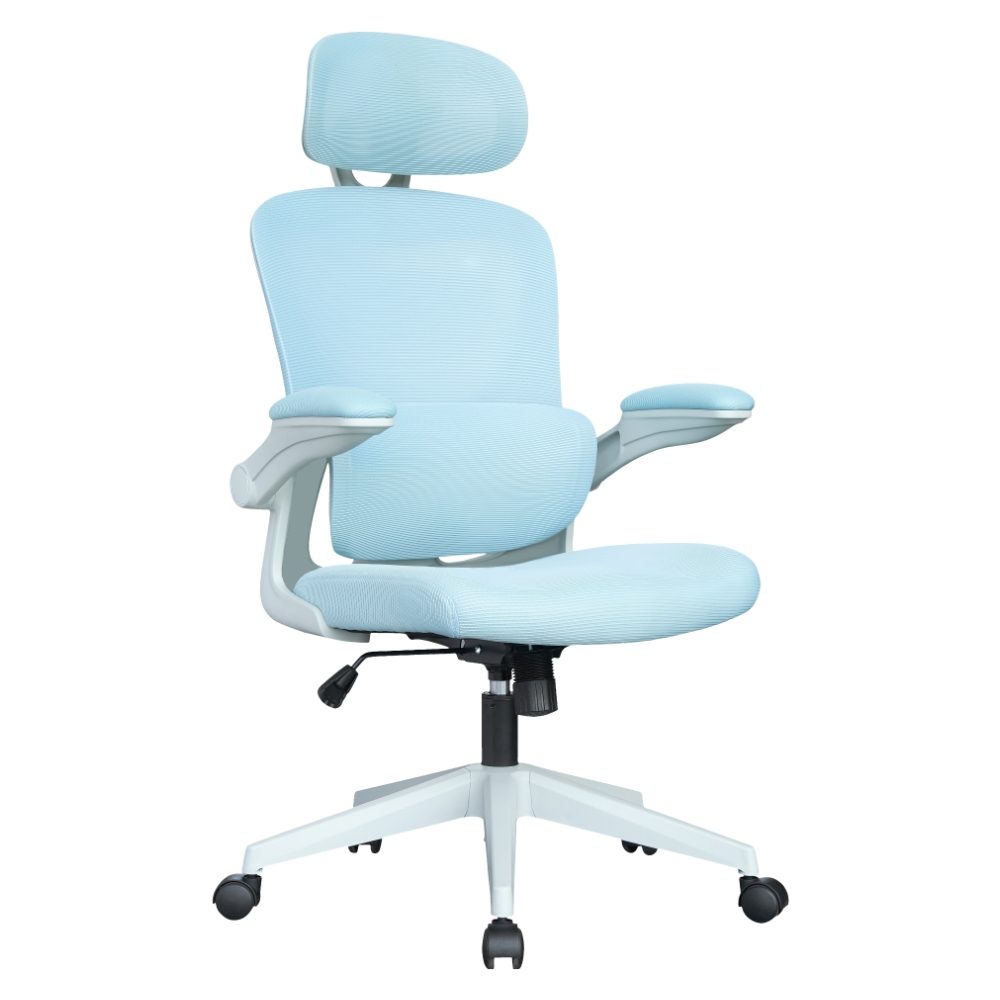 Ergonomics Chair M-6065 blue