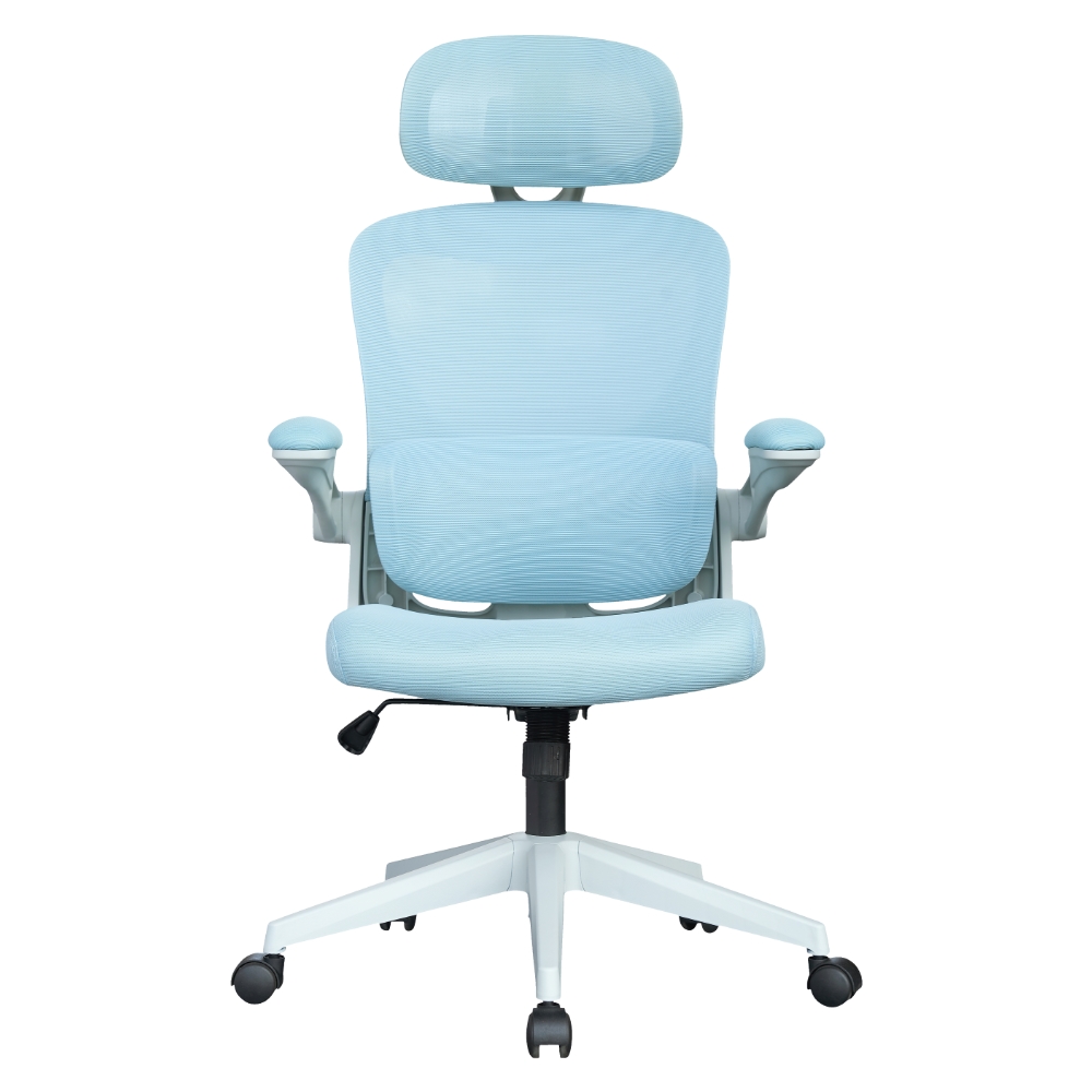 Ergonomics Chair M-6065 blue