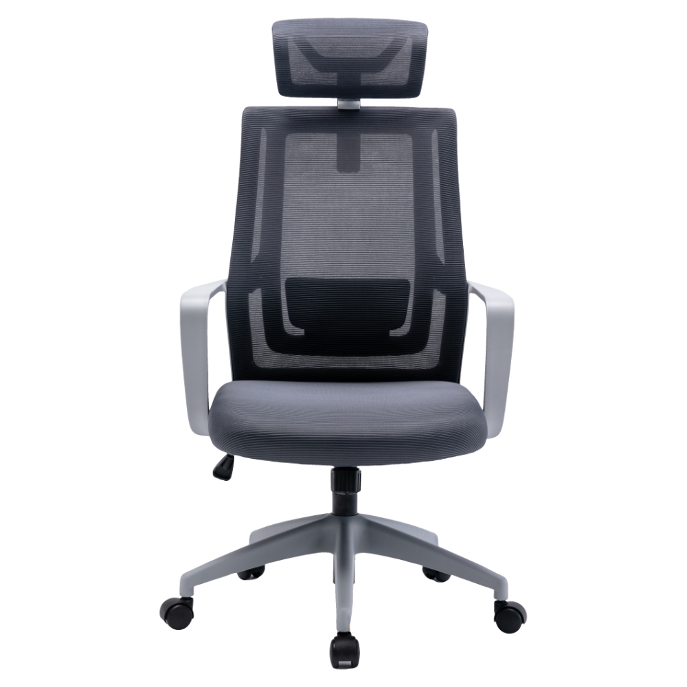 Ergonomics Chair M-6065 blue