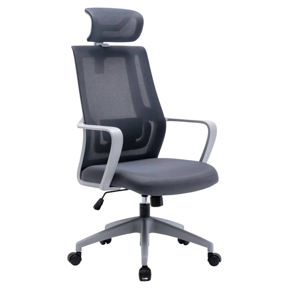 Ergonomics Chair M-6065 blue