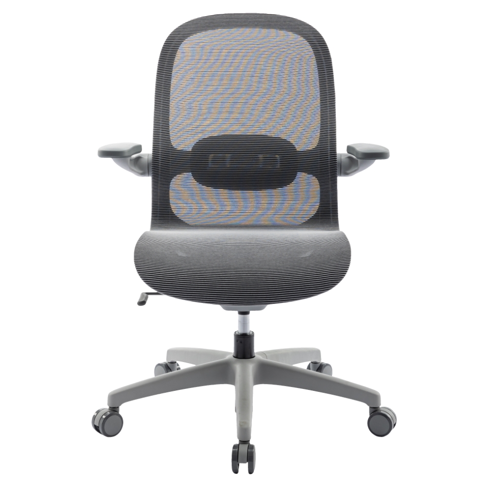 Ergonomics Chair M-6035