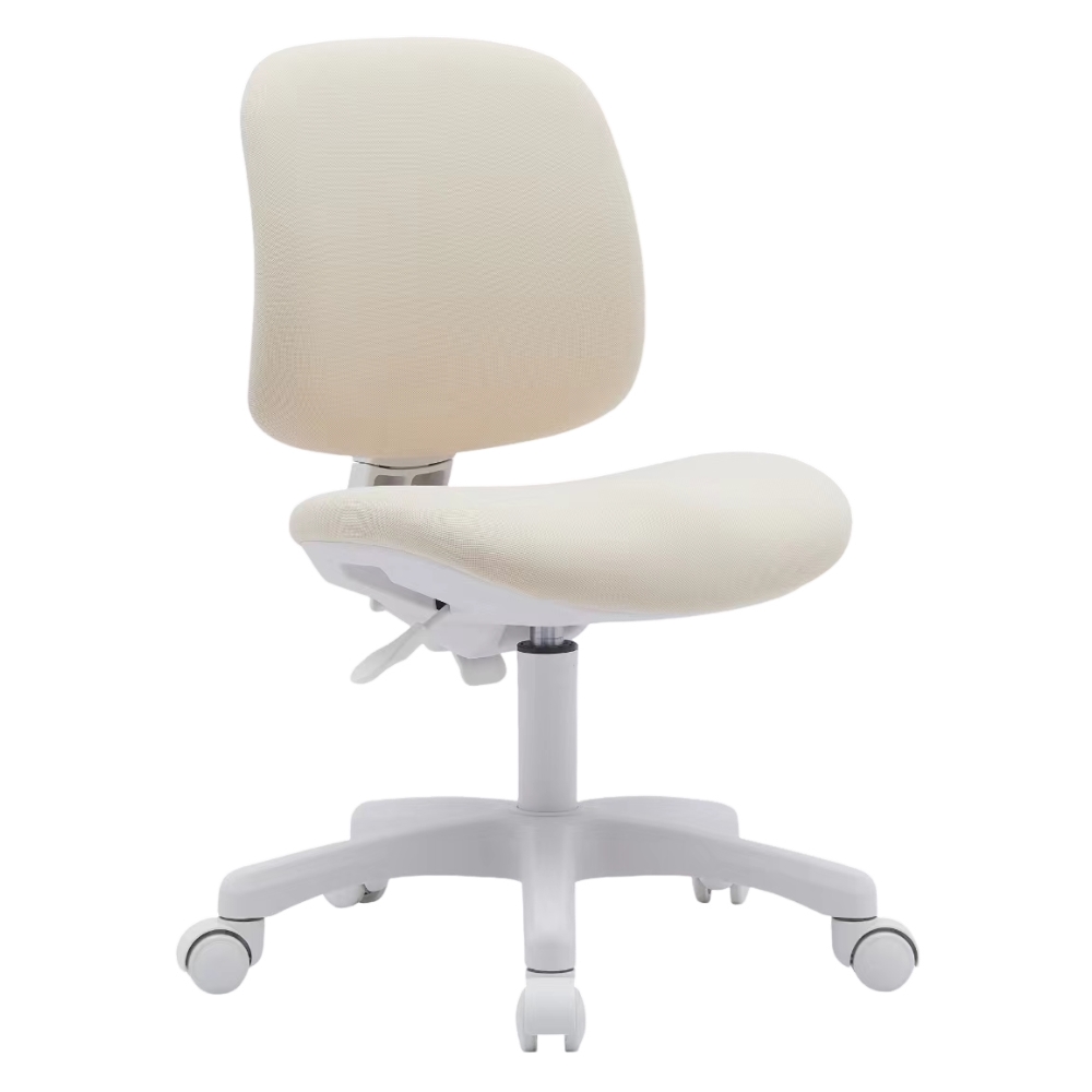 Ergonomics Chair M-6035