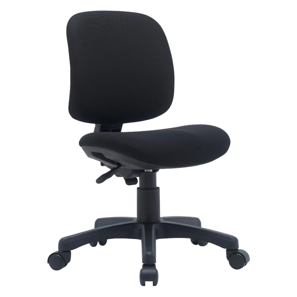 Ergonomics Chair M-6035