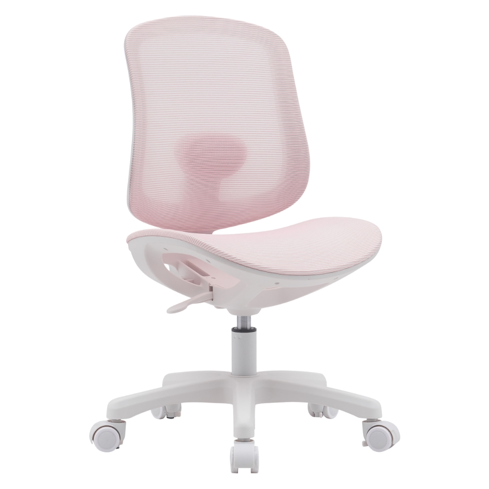 Ergonomics Chair M-6035