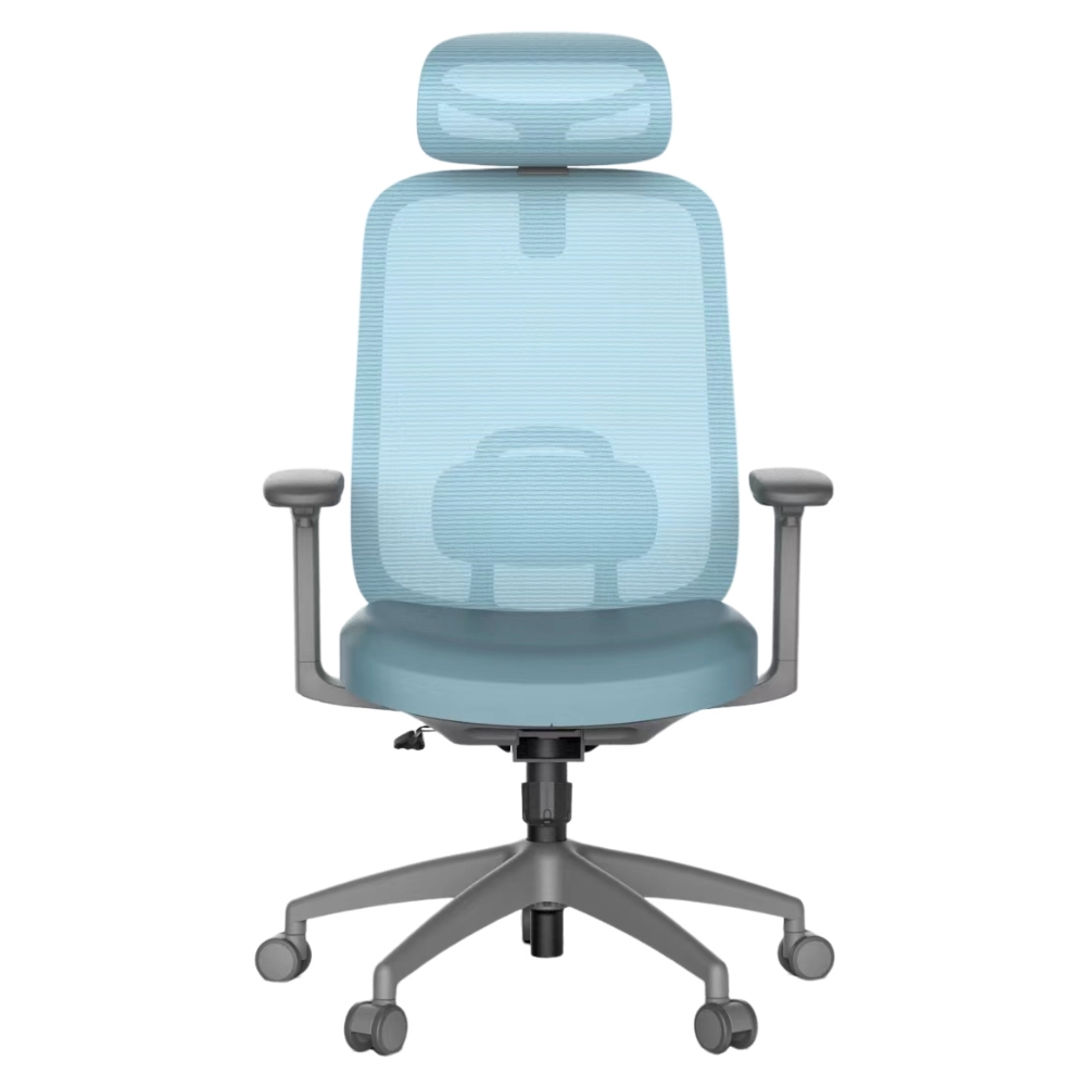 Ergonomics Chair M-6065 blue