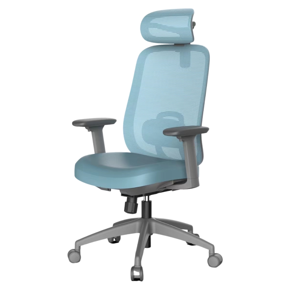 Ergonomics Chair M-6065 blue